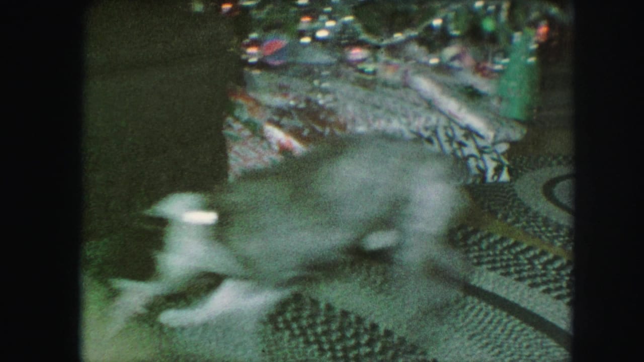 Dog tugging near a Christmas tree on a patterned rug.