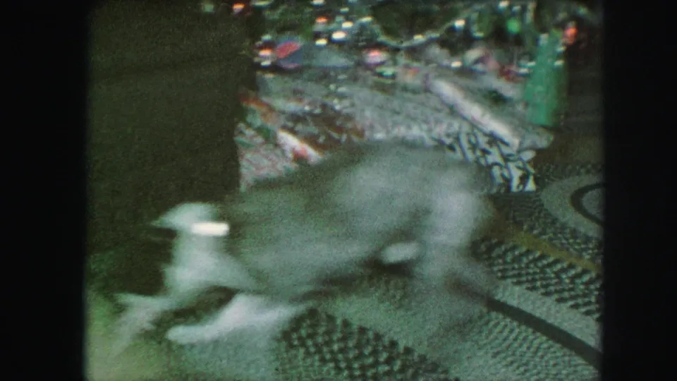 A brindle-and-white dog moves near a decorated Christmas tree in a 1959 Kansas City home-movie frame.