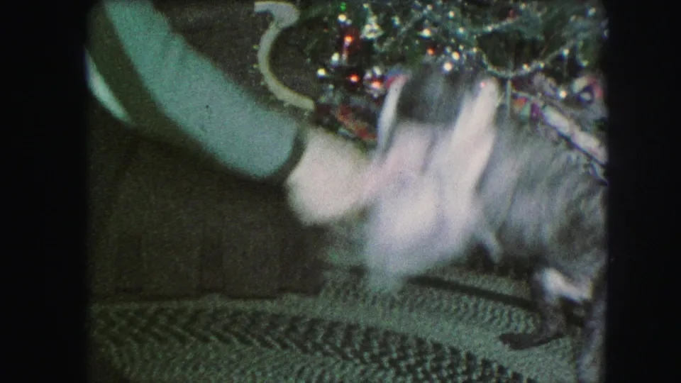 Motion-blurred 8mm frame of a person and dog playing tug near the Christmas tree in a private interior.