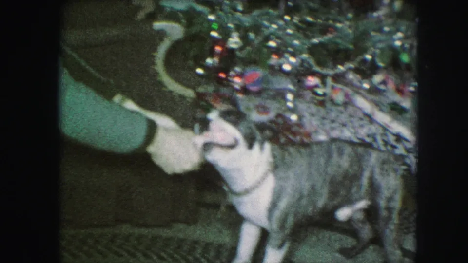 A dog faces a person holding a small object beside a decorated Christmas tree in the 1959 home-movie scene.