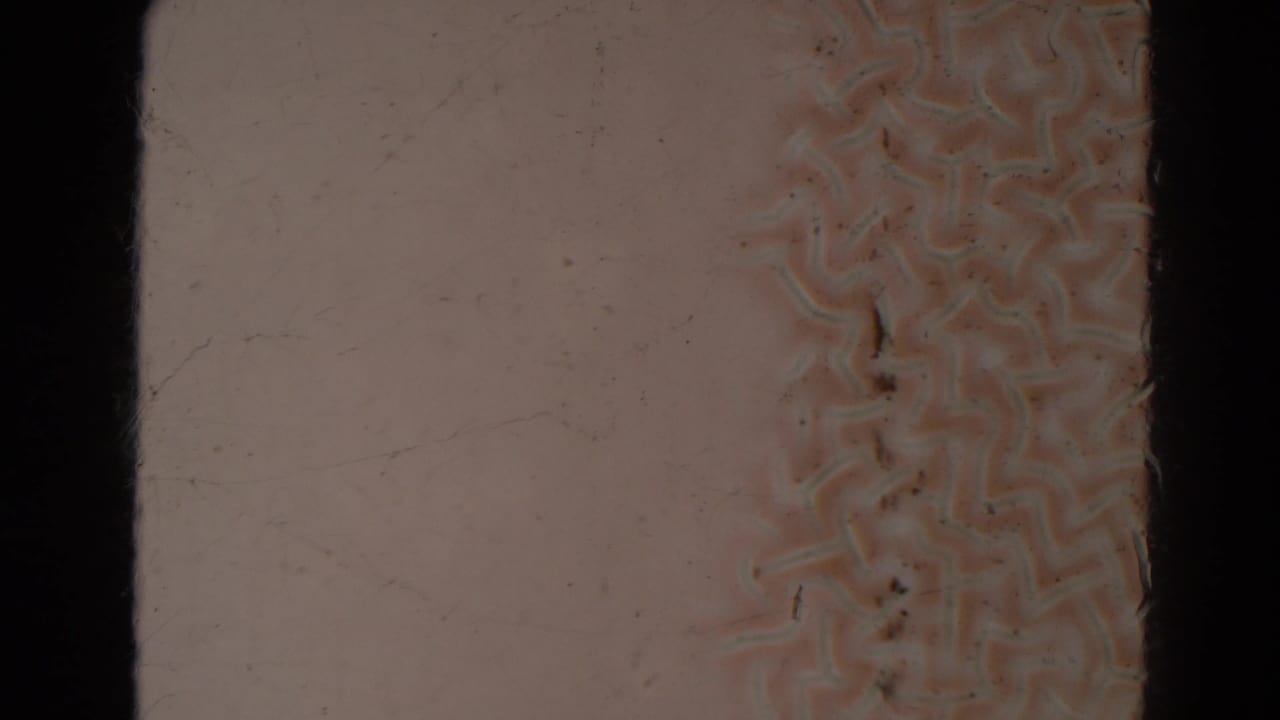Pale blank film frame with dark borders, dust, scratches, and a faint textured strip near the right side.