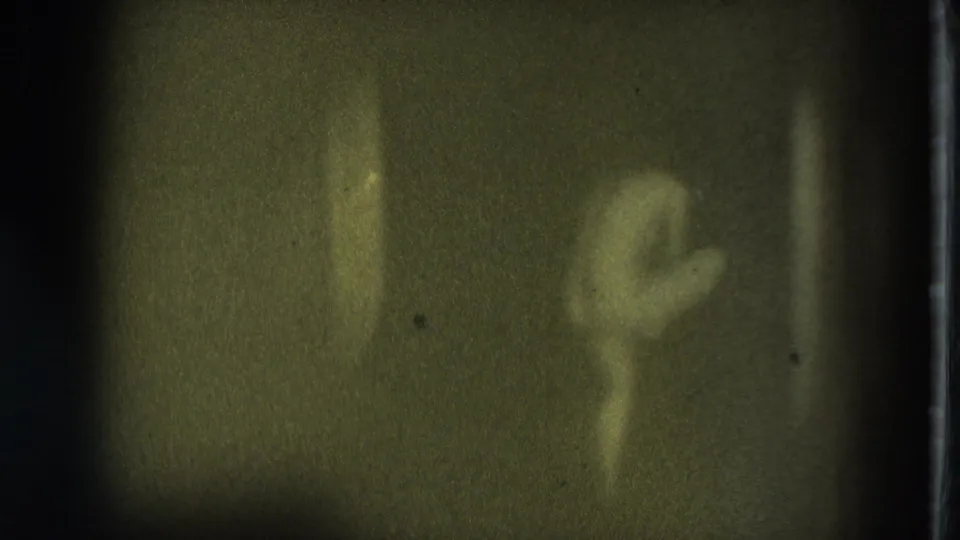 Grainy 1975 San Francisco 8mm frame with an indistinct adult female figure at right in a dark room.