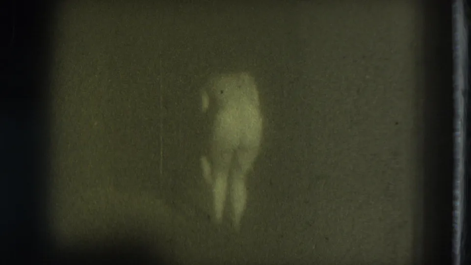 Green-tinted 1975 8mm frame of a nude adult woman turned away from the camera in a dark interior with heavy grain.