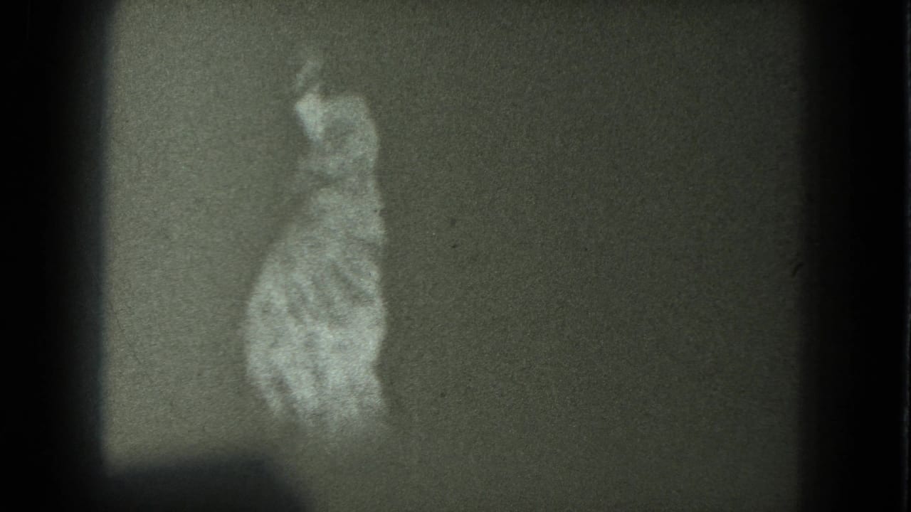 Adult woman in a pale robe-like garment stands against a plain wall in soft, grainy 8mm footage.