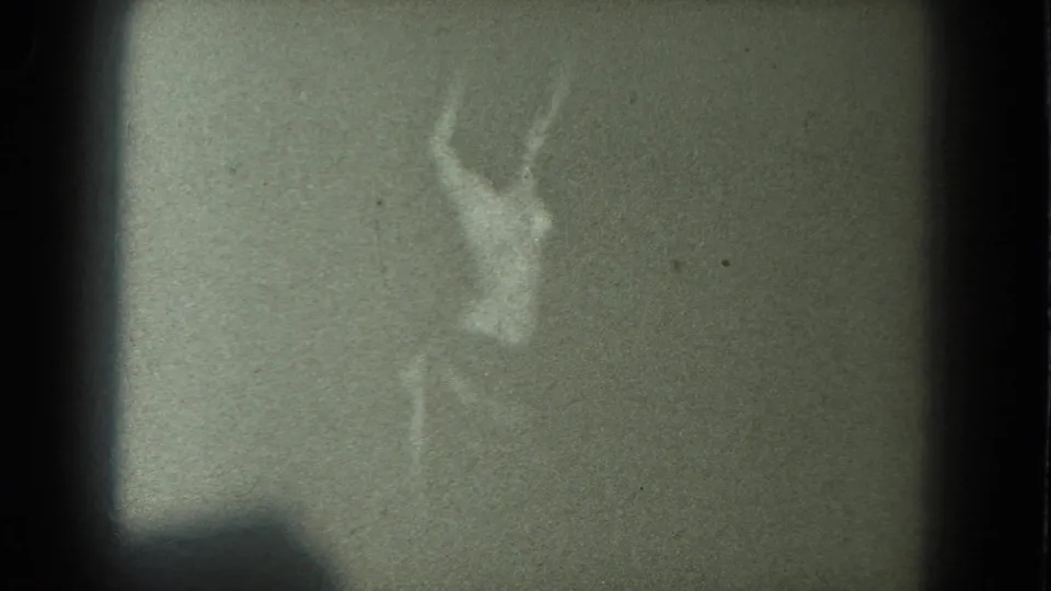 A 1975 San Francisco 8mm frame shows a performer with both arms raised, partly silhouetted against a plain dark background.