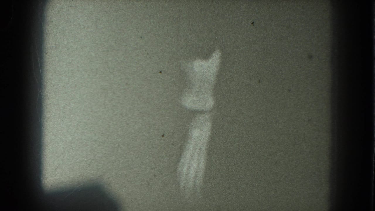Soft, grainy view of a woman dancing from behind against a dark wall.