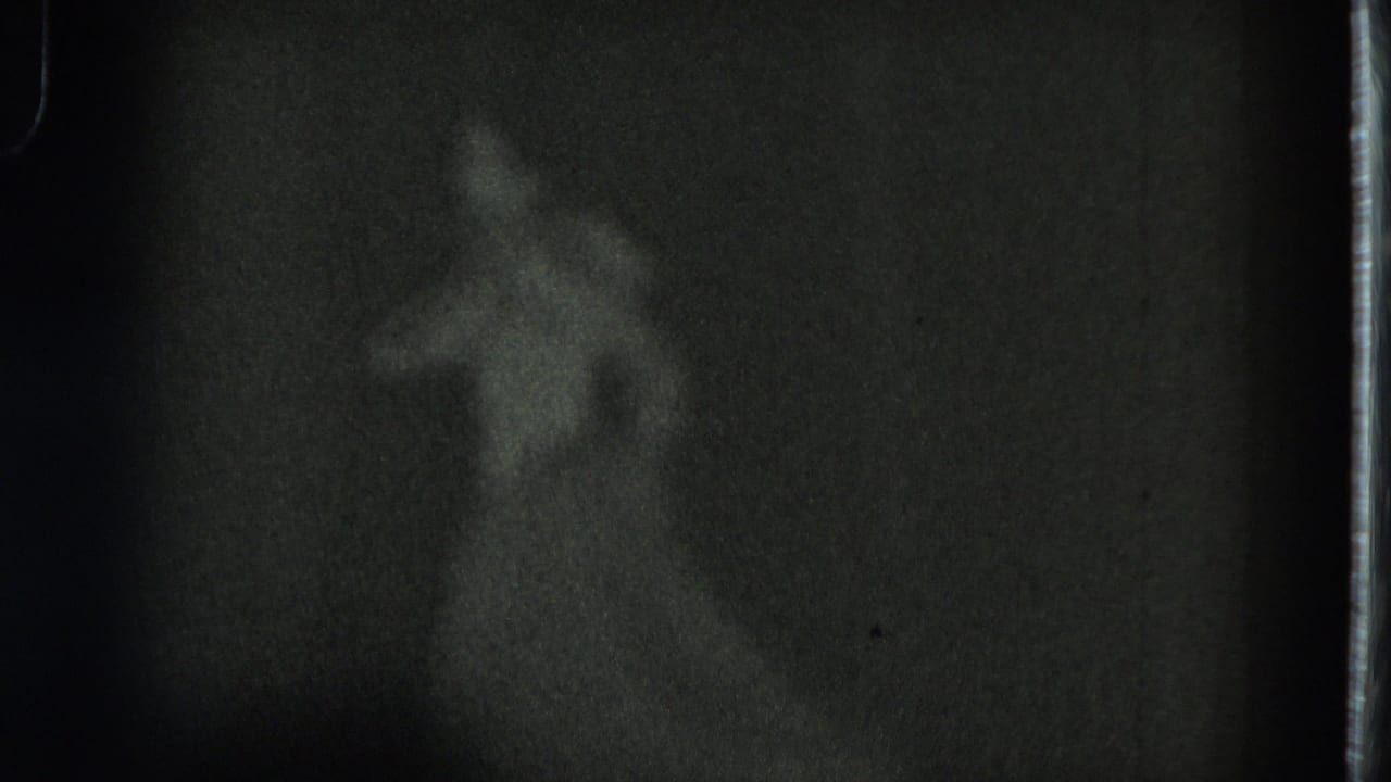 Blurred figure in a long dress shape with one arm raised in a dark frame.