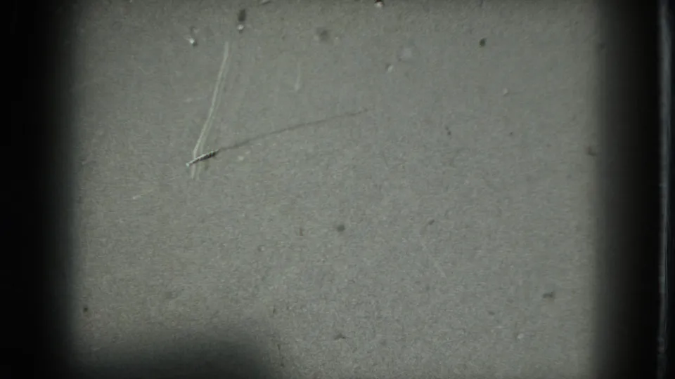 1975 8mm San Francisco footage begins with a dim, scratched frame and dark gate bars, before the dancer becomes visible.