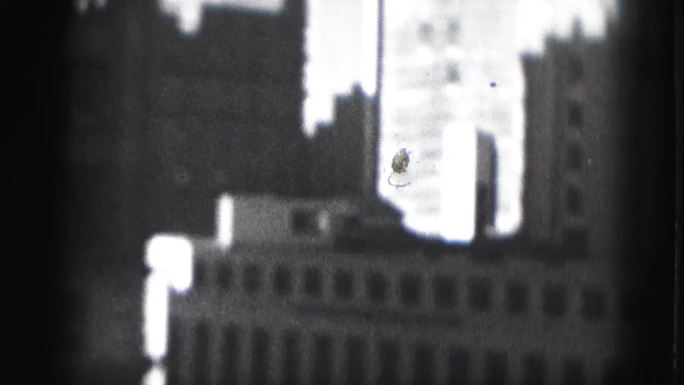 Grainy 1975 Harrisburg city frame with a dark building mass, bright office tower, and soft downtown facade below.