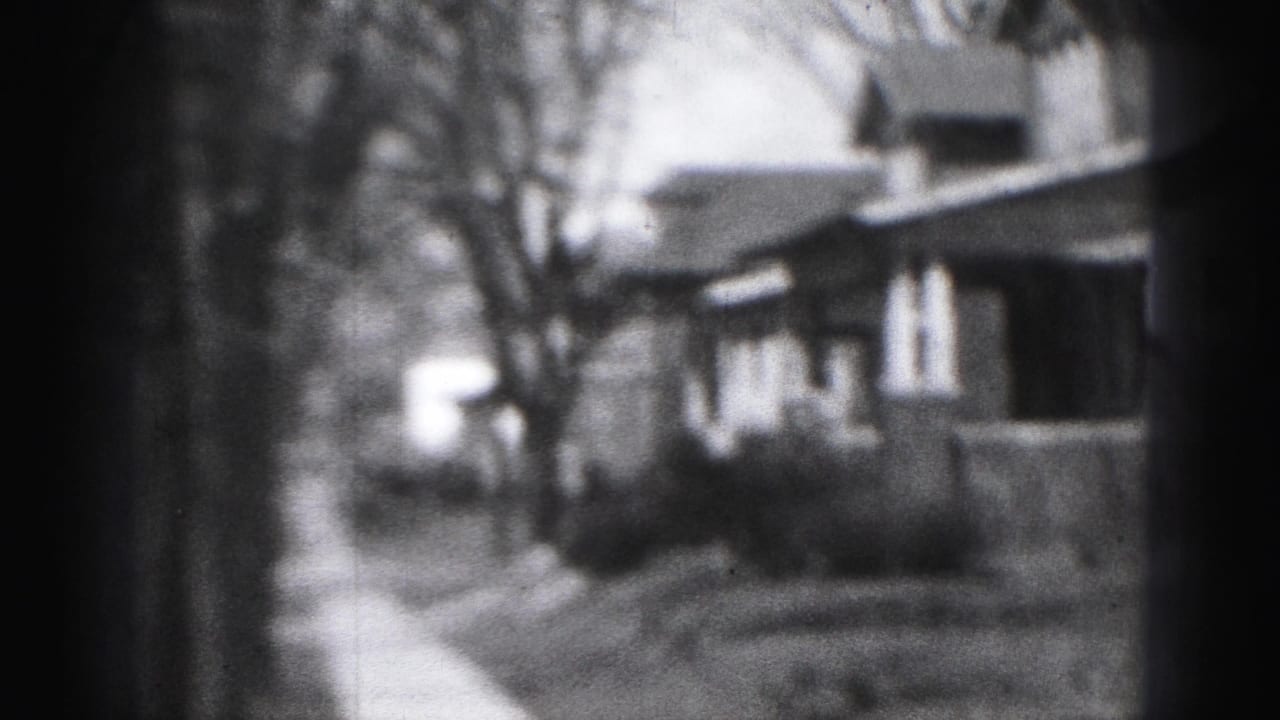 Soft black-and-white Harrisburg street view with houses, bare trees, sidewalk, and a bright distant area.