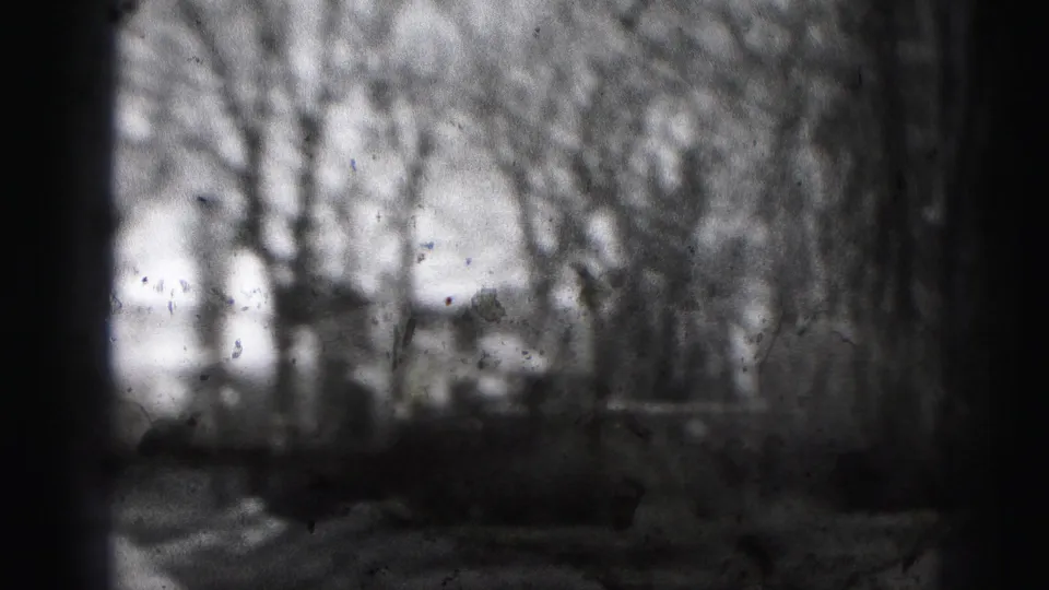 End frame of the Harrisburg residential block, with a house, bare trees, shrubs, sidewalk, and visible 8mm film wear.