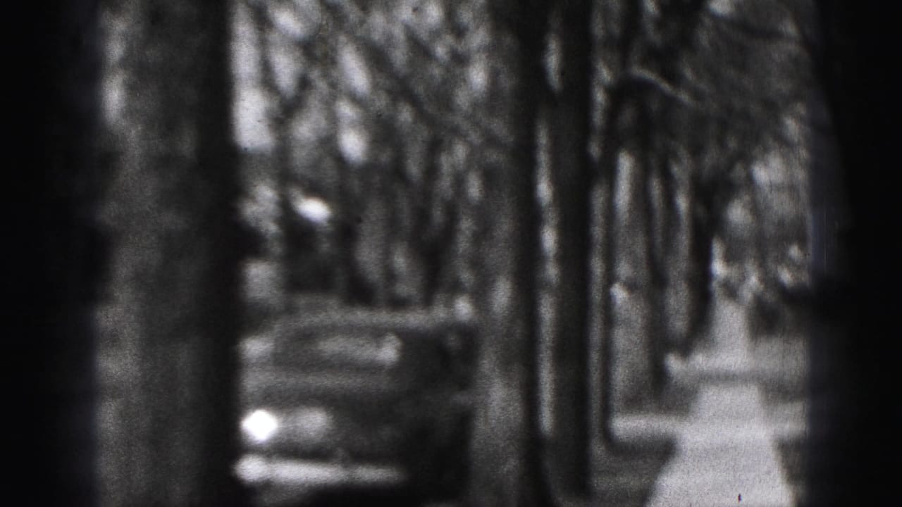 Soft black-and-white view of a Harrisburg residential street with bare trees and a parked car, captured on 8mm film in 1975.