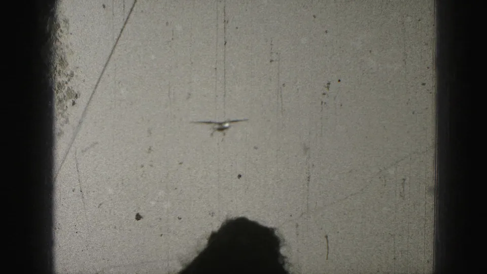 Small aircraft seen at a distance in 1975 Harrisburg home-movie footage, with heavy grain, scratches, and a dark central frame border.