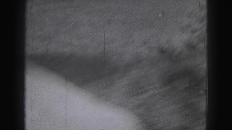 The closing frame is heavily soft and partially obscured, with foliage, exposure shifts, and worn 8mm film texture visible.