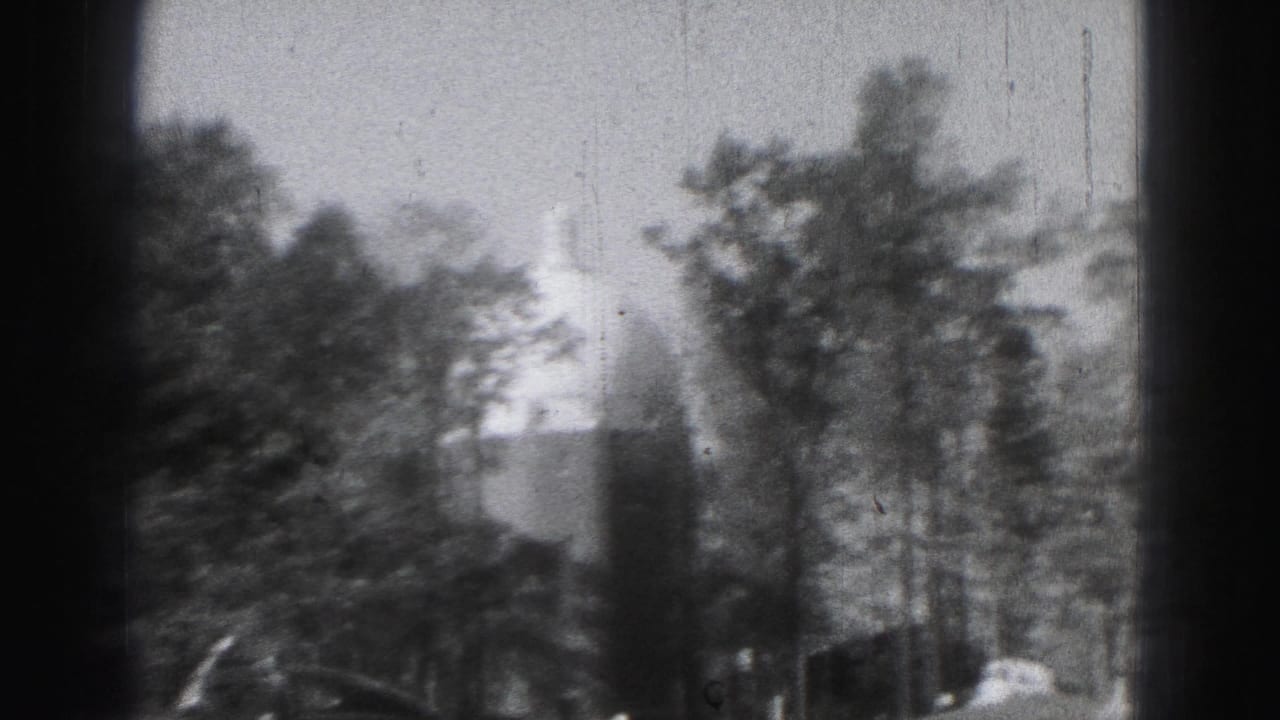 Soft black-and-white park view with trees and a distant domed building shape.