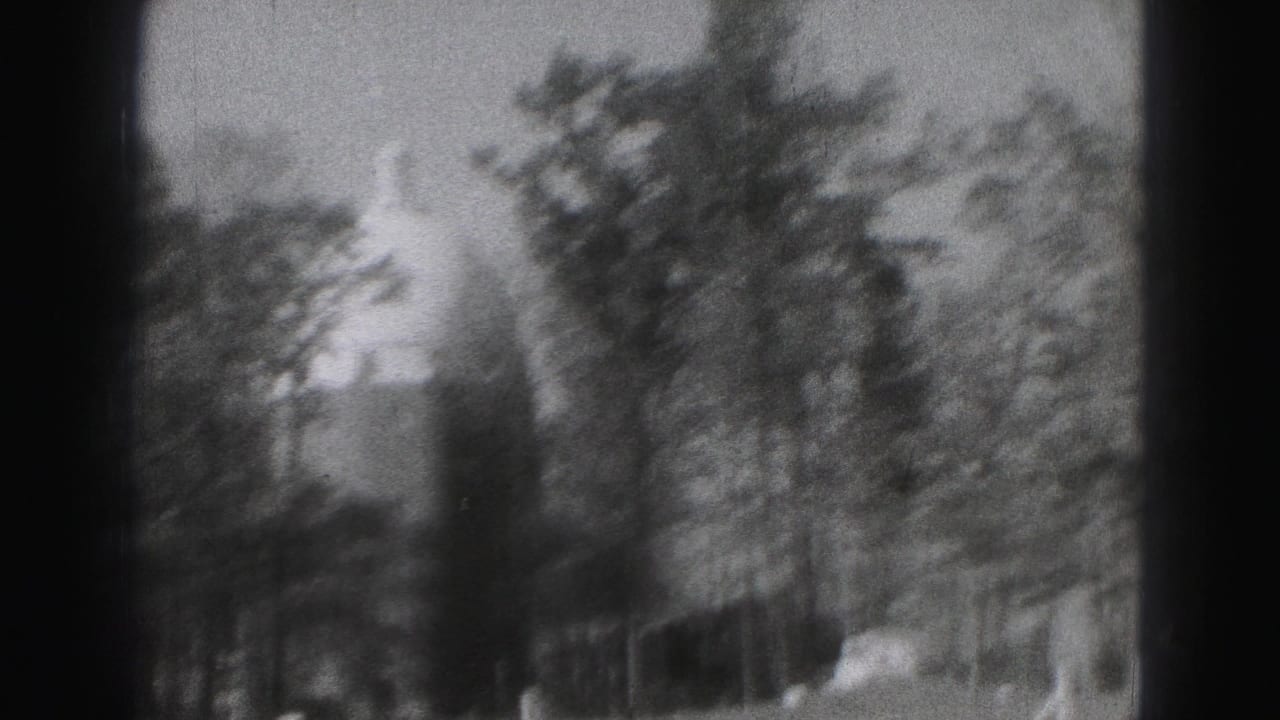 Soft 1975 Harrisburg park frame with blurred trees, dark vertical framing, and a distant domed structure shape.