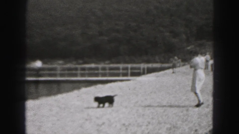 Small dark dog crosses the gravel path near a pond while a woman stands at the right edge in the 1975 Harrisburg home-movie scene.