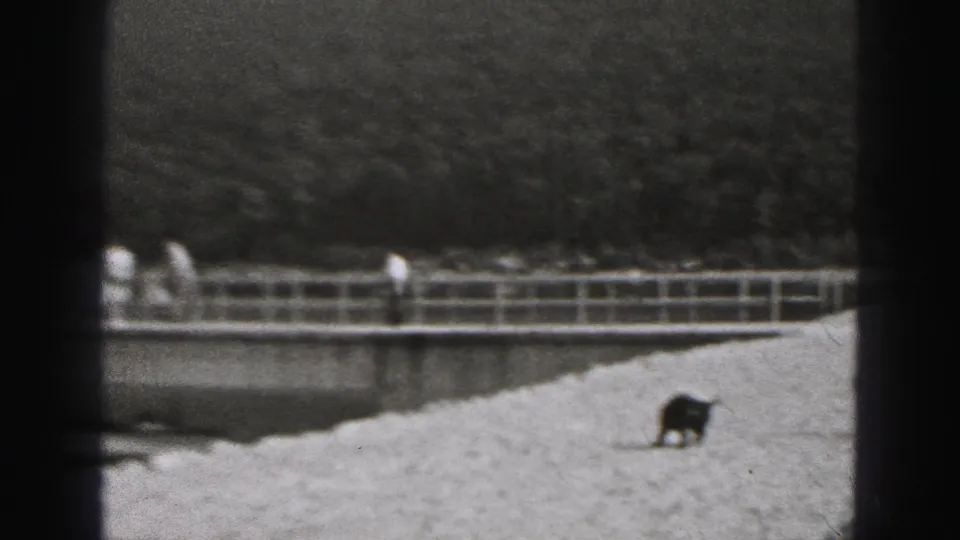 1975 Harrisburg home-movie frame showing a small dark dog near a lakeside path, with railings, water and wooded hillside in the background.