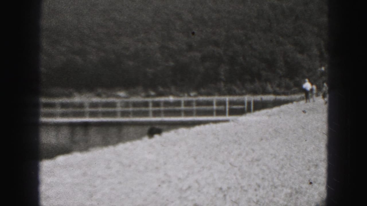 Black dog on snowy path beside railings with distant walkers near wooded hills.