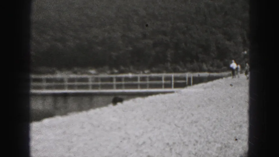 1975 Harrisburg home-movie frame showing a black dog on a snow-covered path with railings, distant people, and wooded hills beyond.