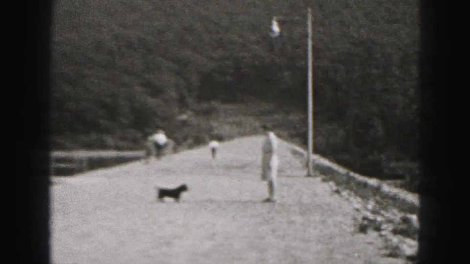1975 Harrisburg home-movie frame showing a woman on a snow-covered path, a black dog nearby, railings, a lamppost, and distant pedestrians.