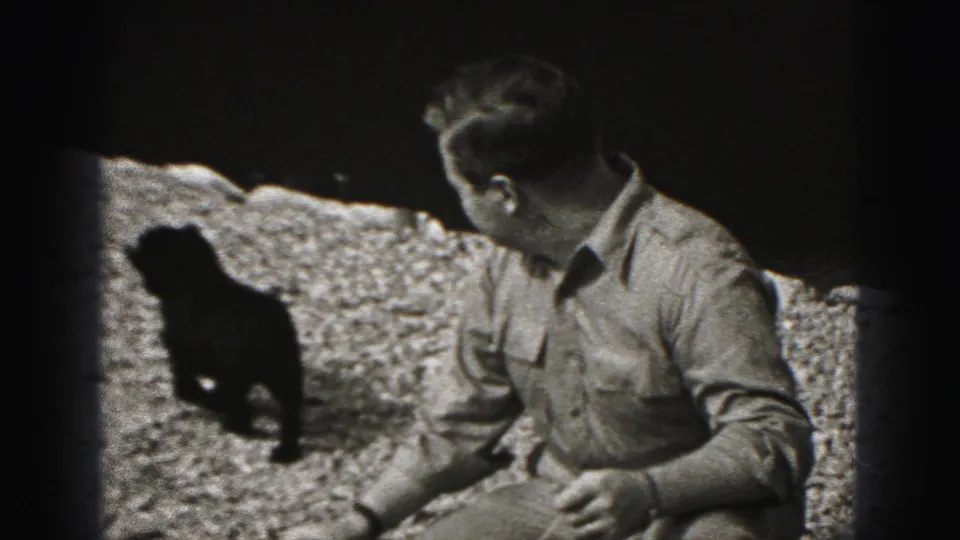 A small black puppy stands near the crouching man, who turns toward it in the 1975 Harrisburg outdoor home-movie scene.