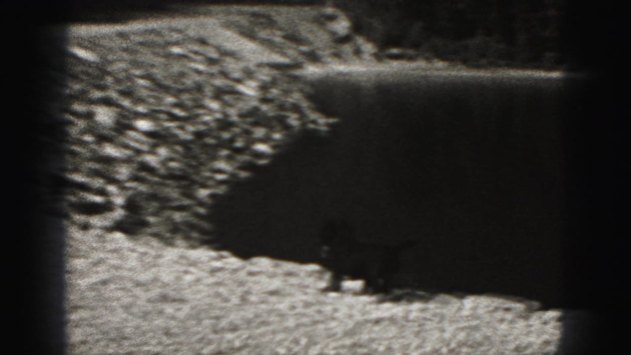 A small dog crosses rough gravelly ground near a dark shoreline or embankment in black-and-white 8mm footage.