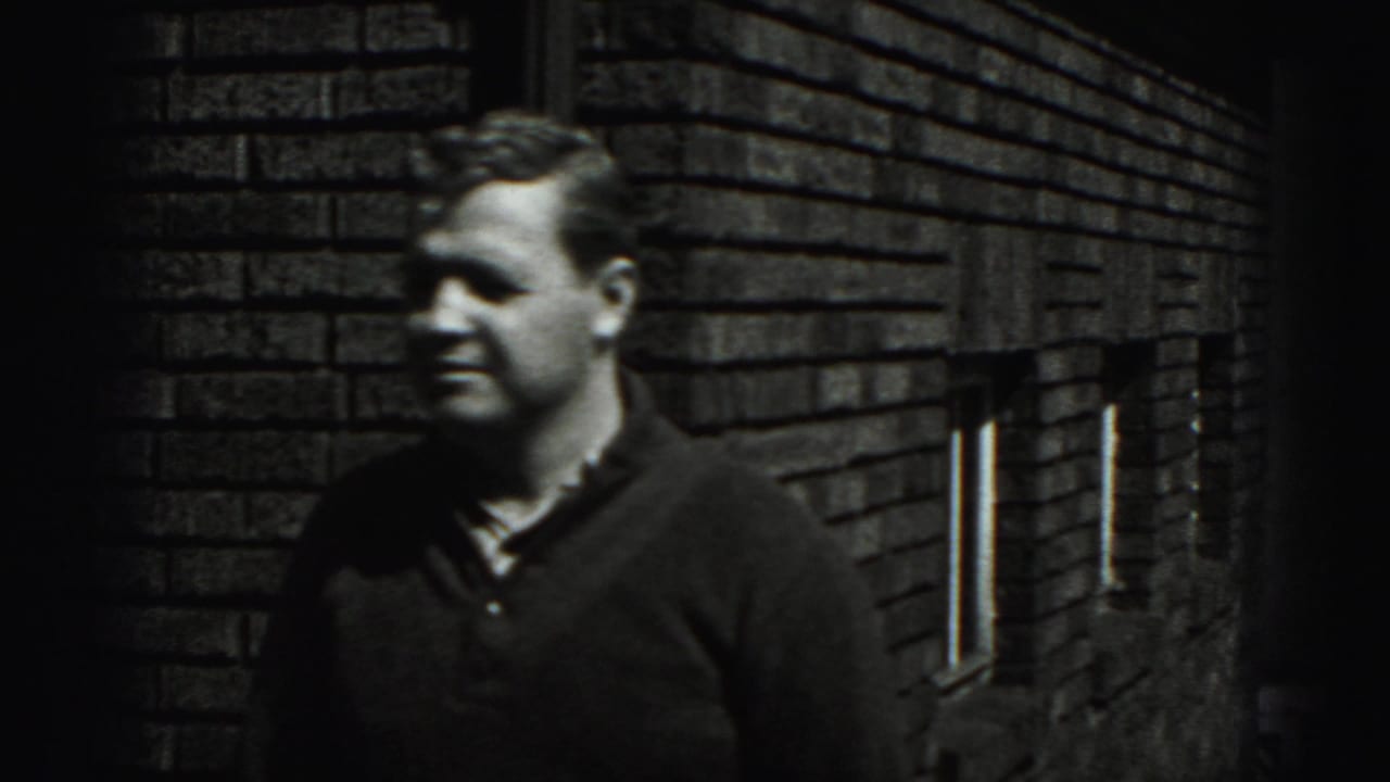 Man in a dark sweater stands beside a brick wall near windows and a vertical pipe.