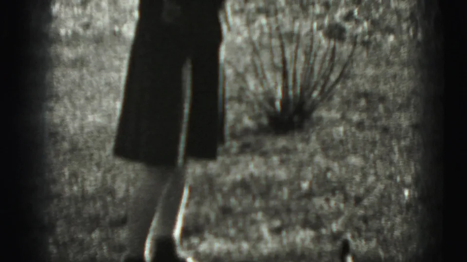 A wider 8mm frame shows the woman standing in the grassy yard, with small bare plants and residential buildings behind her.