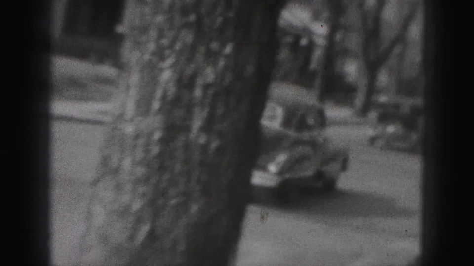 1975 Harrisburg home-movie frame with a tree trunk partly blocking a dark car as a passenger waves inside.