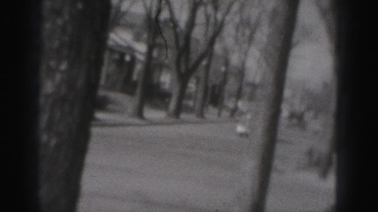 Soft 8mm view of a Harrisburg street in 1975, with a car receding behind foreground trees.