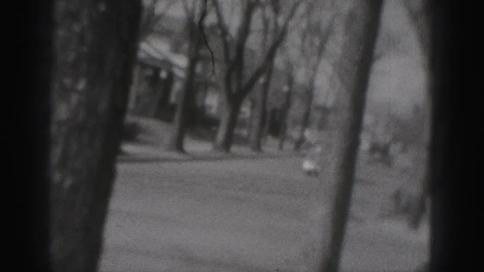 Soft 8mm view of a Harrisburg street in 1975, with a car receding behind foreground trees.