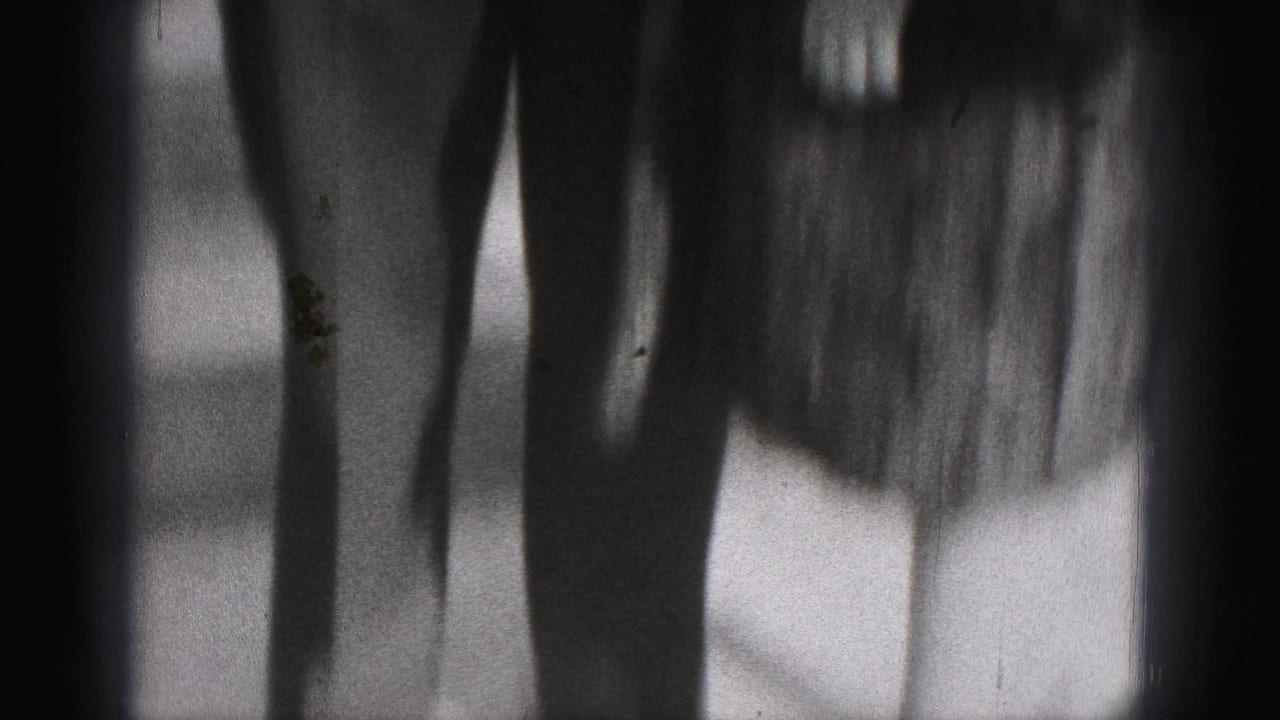 Soft black-and-white frame with blurred vertical shapes and heavy film density.