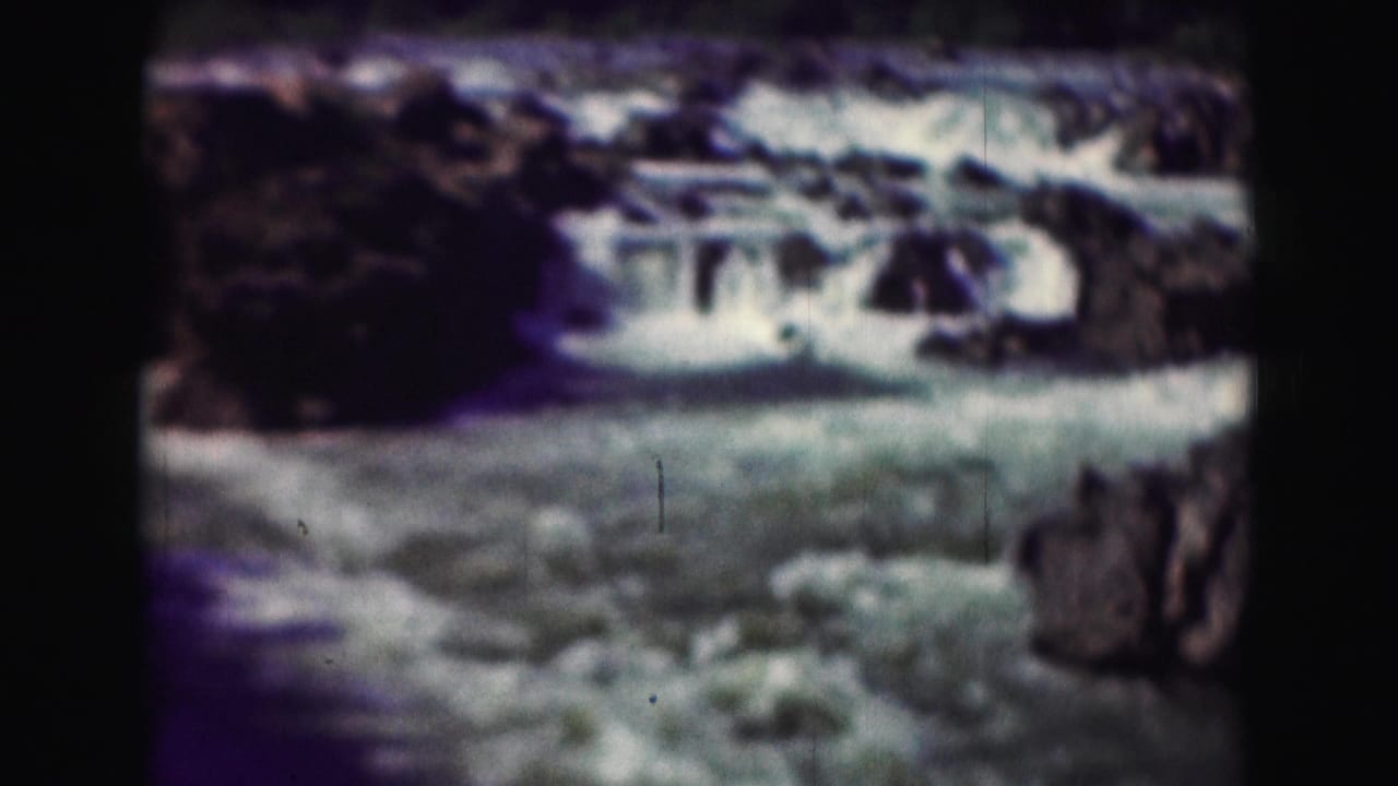 Foaming river water passes over dark rocks in a wooded landscape.