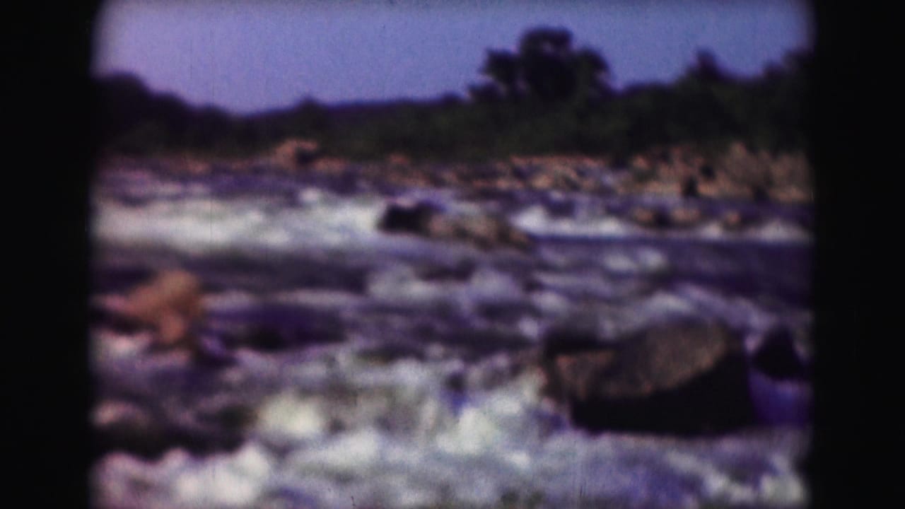 Whitewater river rapids moving around dark rocks with a tree-lined bank beyond.