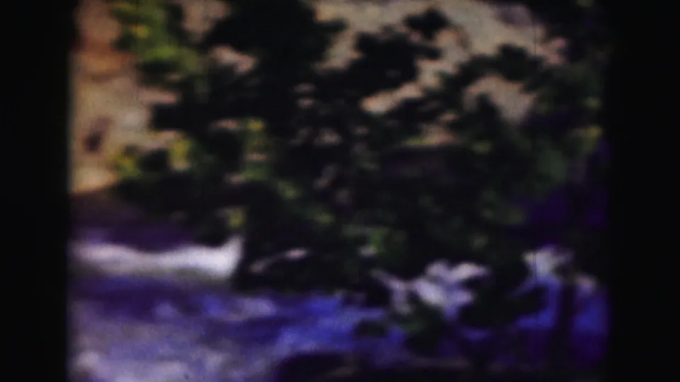 1975 8mm Washington, DC-area home-movie frame showing leafy riverside vegetation, rocks, and water during the pan.