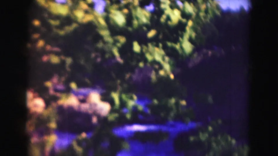 1975 8mm frame of a shaded wooded river edge with rocks, foliage, and blue-shifted water in the Washington, DC-area clip.
