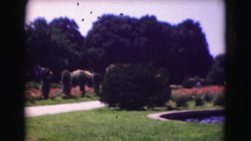 1975 Washington, DC garden scene showing lawn, flower beds, a curved path, shrubs, trees, and the edge of a small pond.