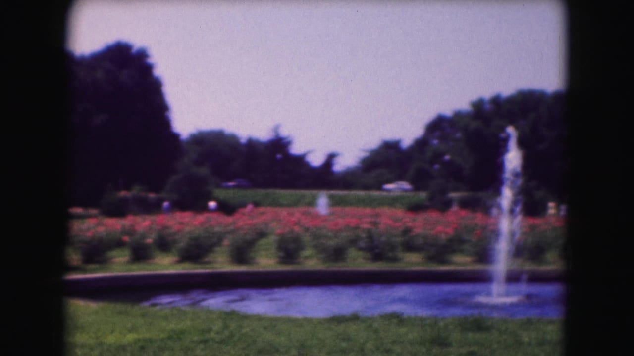 1975 Washington DC 8mm view of a landscaped garden with a pond fountain, red flowers, green lawn, trees, and distant road traffic.