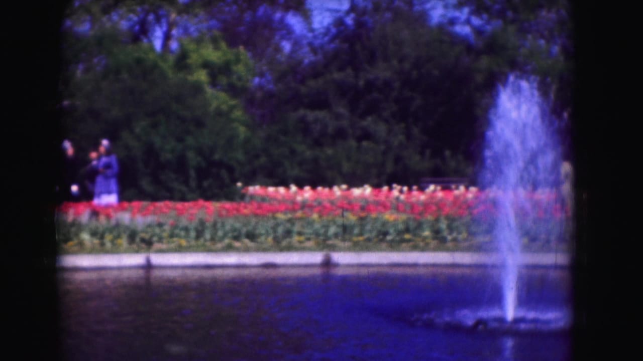 Fountain spraying into a pond beside tulip beds and trees, with distant visitors at left.