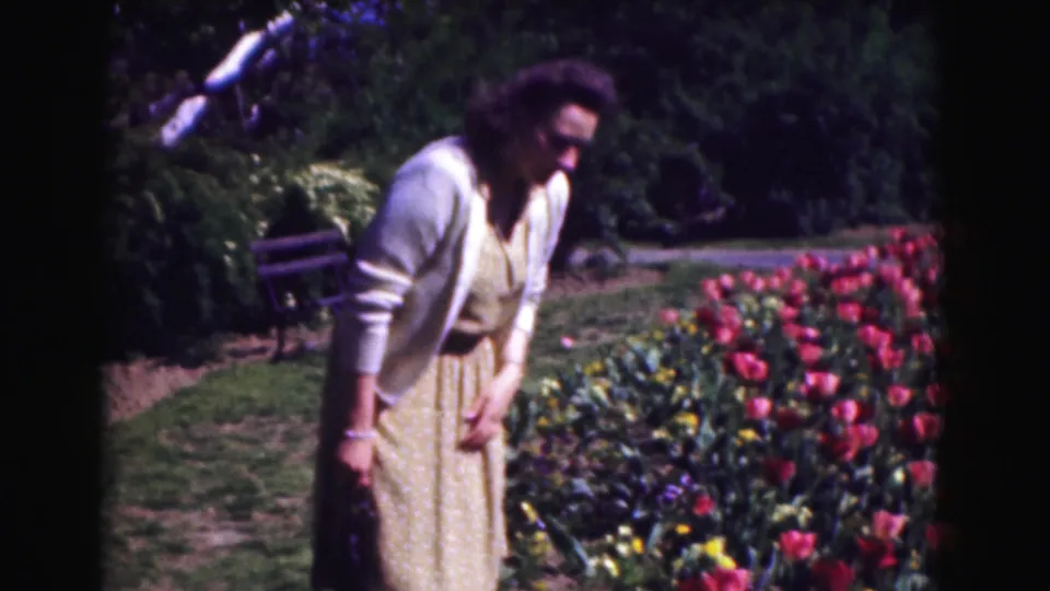 1975 Washington DC home-movie frame of a woman standing beside blooming tulips, with a path, bench, trees, and soft 8mm color.