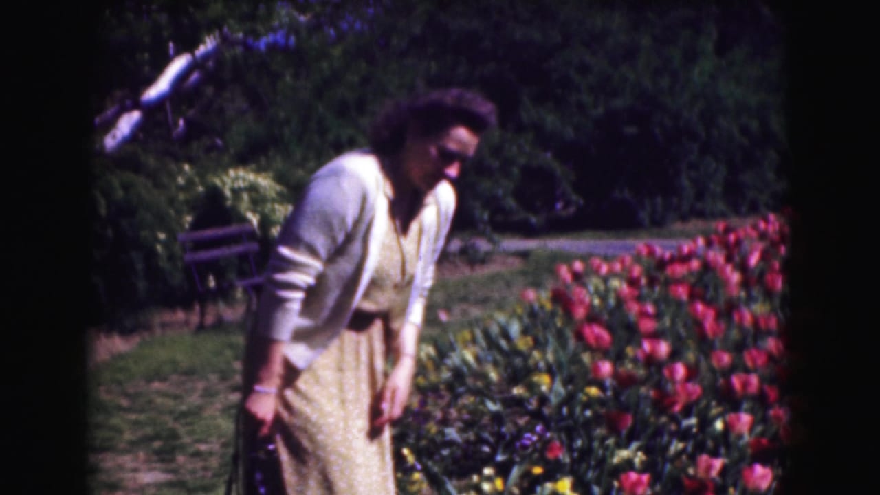 Young woman standing beside a bed of red tulips in a sunny garden.