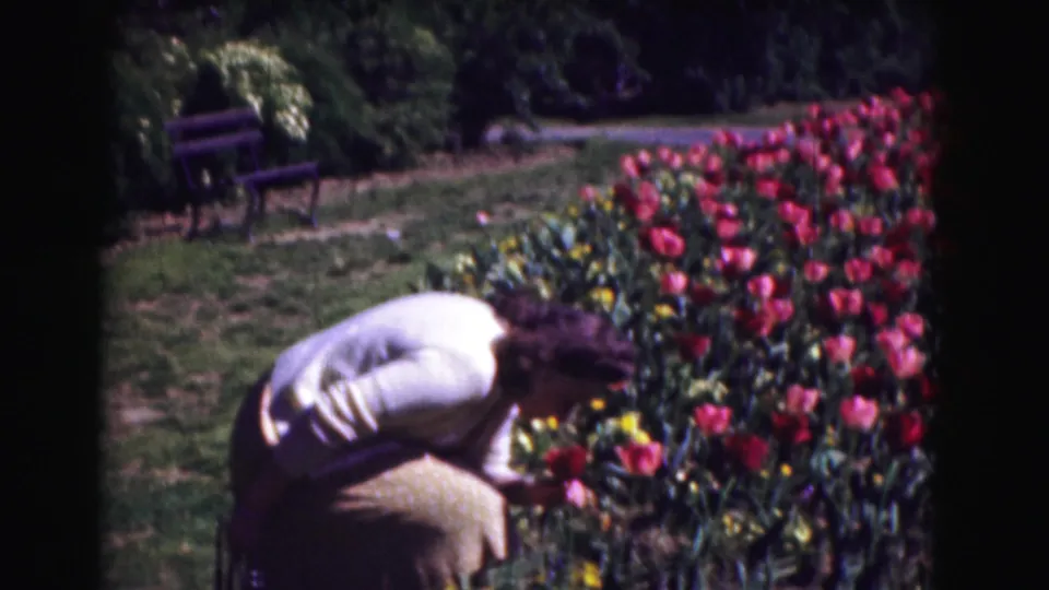 In the garden, the woman leans forward over red tulips, with a bench and trees behind her.
