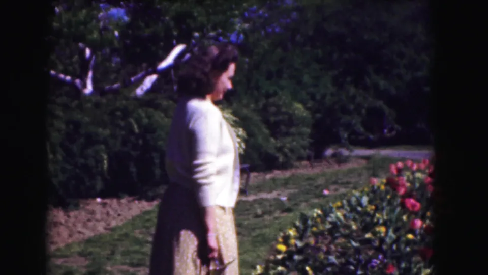 The woman walks in profile past tulips, lawn, and dense shrubs in the 1975 Washington DC garden scene.