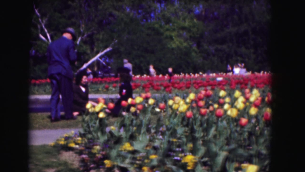 In 1975 Washington, DC home-movie footage, adults stand and sit near rows of tulips with trees behind them.