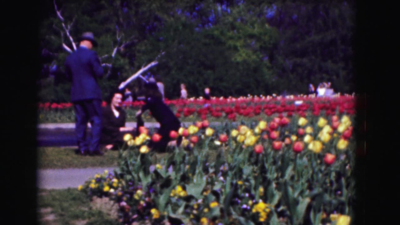 Adults near a tulip bed, including a man in a dark suit and a woman by the flowers.
