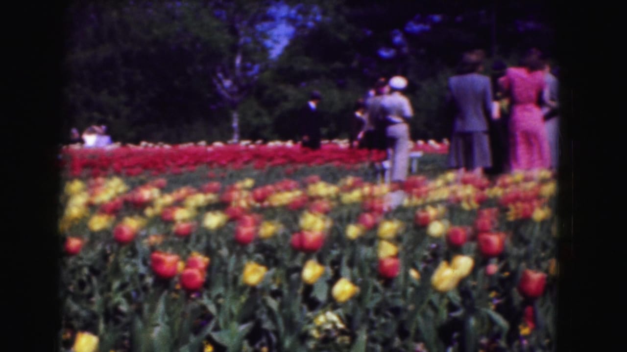 Visitors stand near red and yellow tulip beds under dark trees.