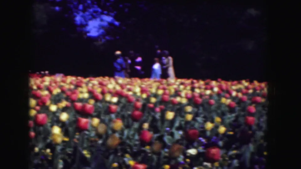 1975 Washington DC home-movie frame of tulip rows with several visitors near the shaded background tree line.