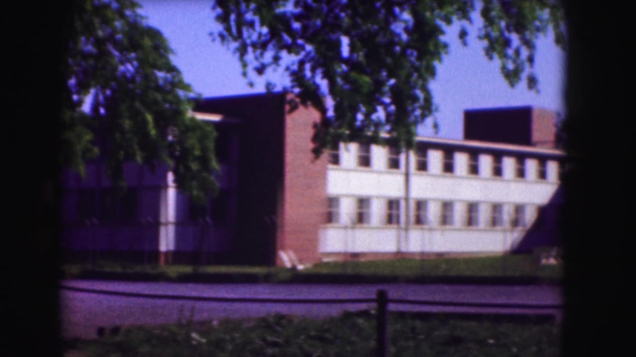 Brick-and-white school-like building seen through overhanging trees.