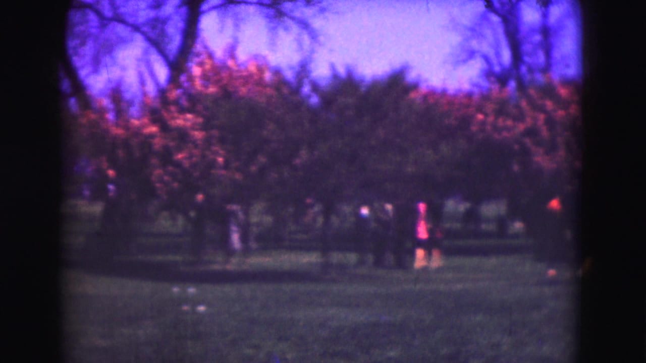Distant garden lawn with flowering shrubs and small figures in the background.